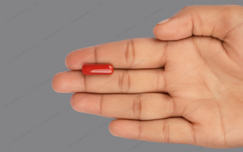 Red Coral - 7.38 Carats