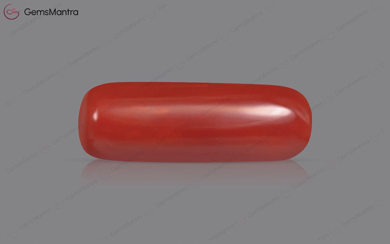 Red Coral - 7.67 Carats