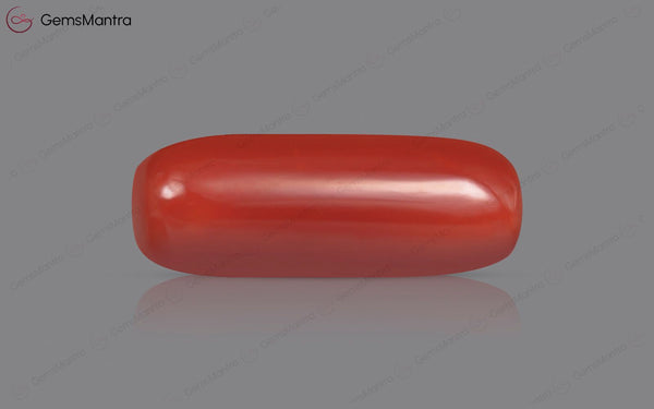 Red Coral - 7.58 Carats