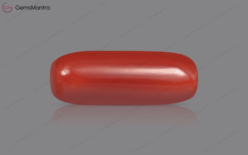 Red Coral - 7.58 Carats