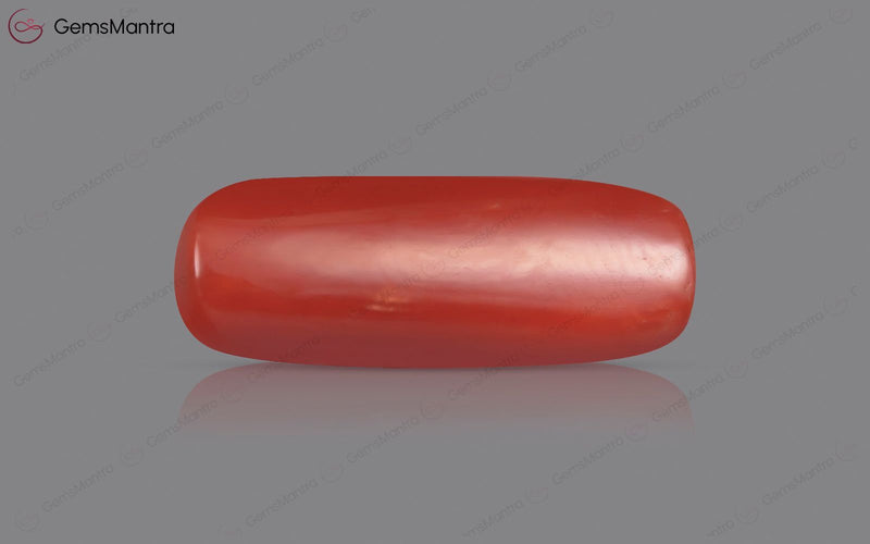 Red Coral - 7.58 Carats