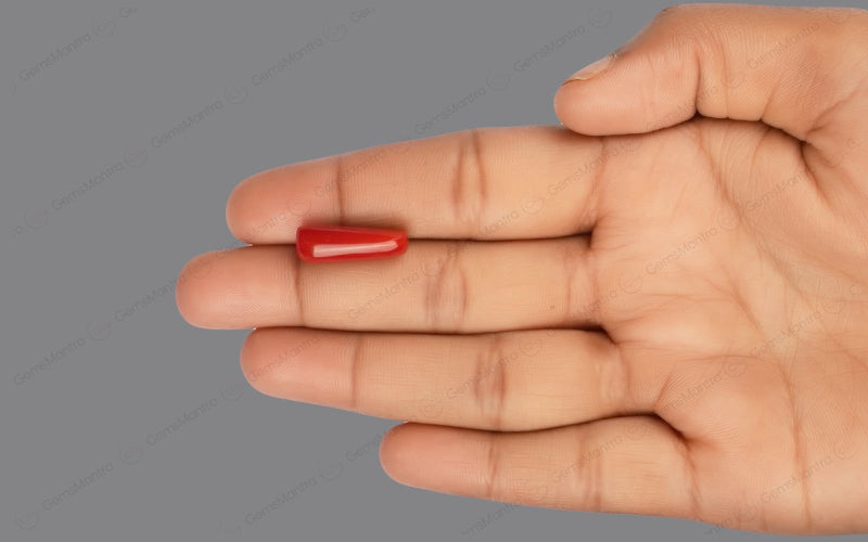 Red Coral - 7.58 Carats