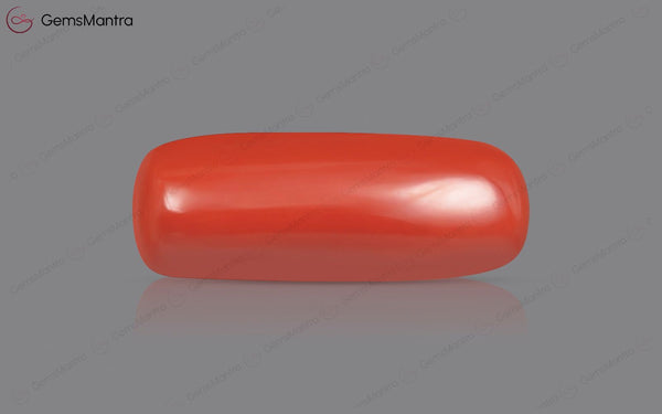 Red Coral - 8 Carats