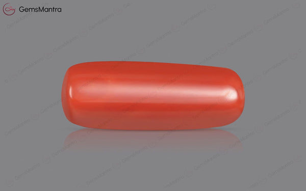 Red Coral - 8 Carats