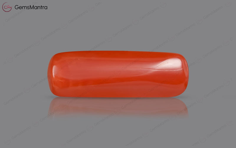 Red Coral - 8.33 Carats