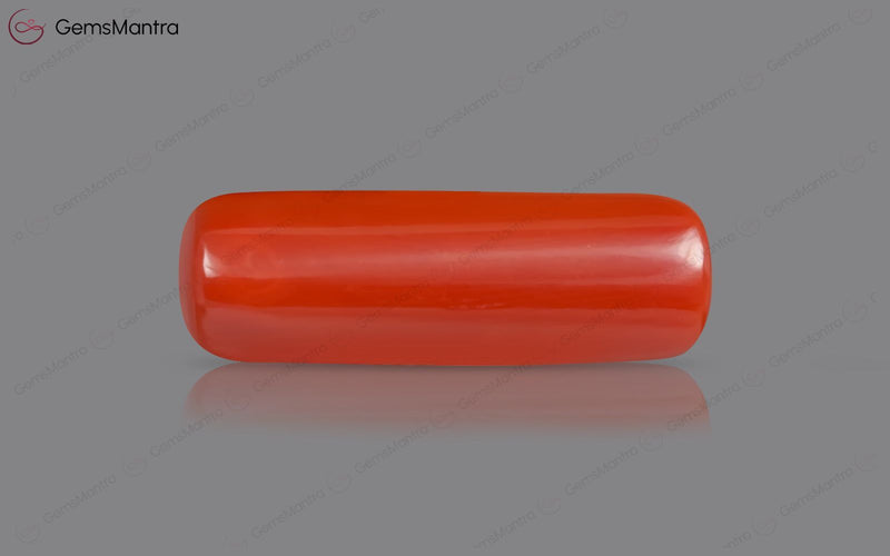 Red Coral - 8.33 Carats