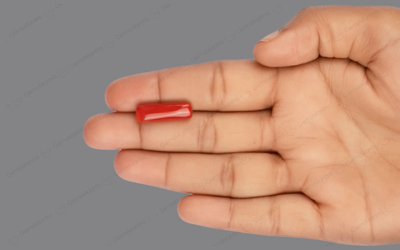 Red Coral - 8.33 Carats