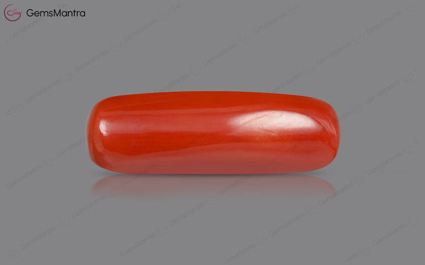Red Coral - 8.31 Carats
