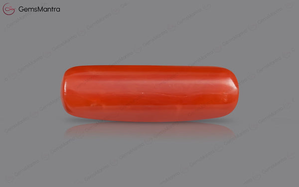 Red Coral - 8.31 Carats