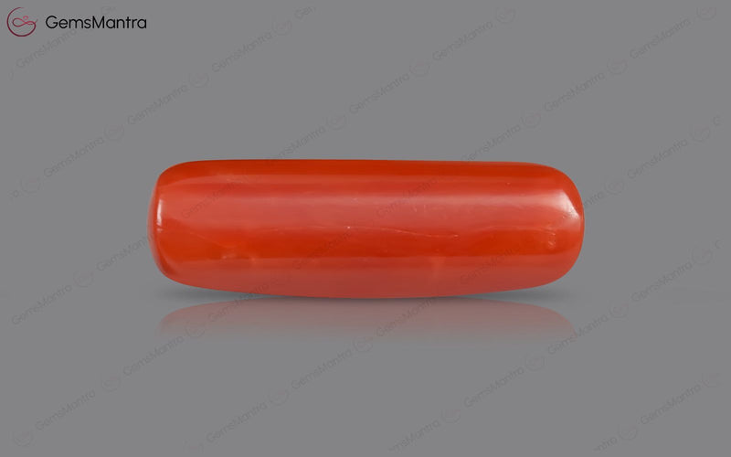 Red Coral - 8.31 Carats
