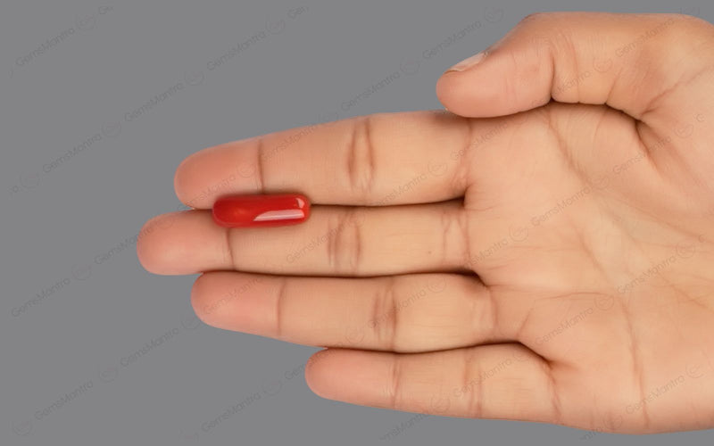 Red Coral - 8.31 Carats