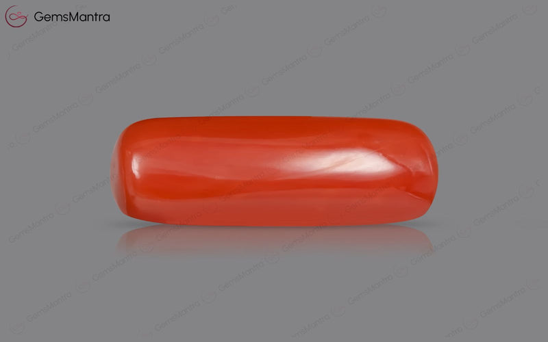 Red Coral - 8.35 Carats