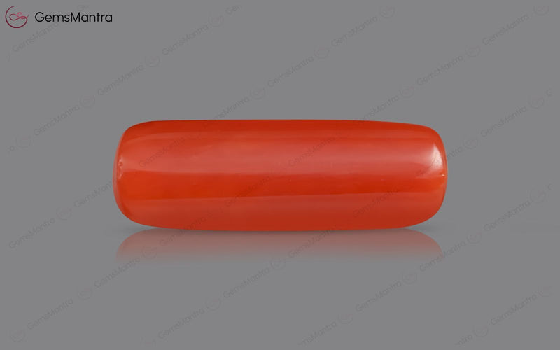 Red Coral - 8.35 Carats