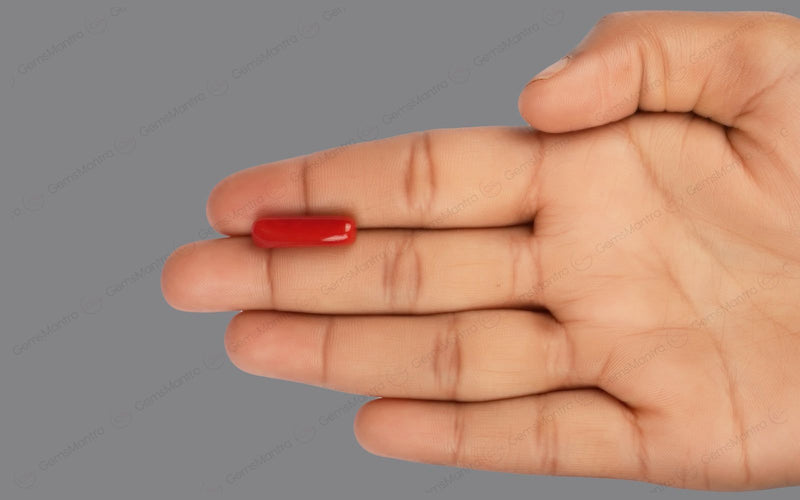Red Coral - 8.35 Carats