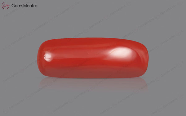 Red Coral - 7.57 Carats