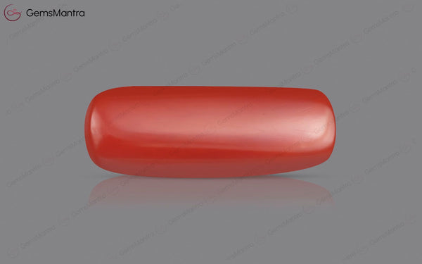 Red Coral - 7.57 Carats