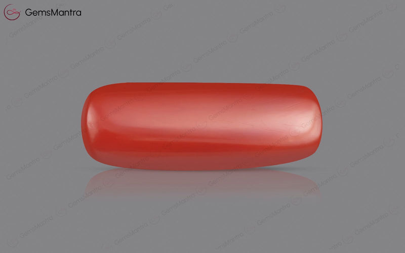 Red Coral - 7.57 Carats