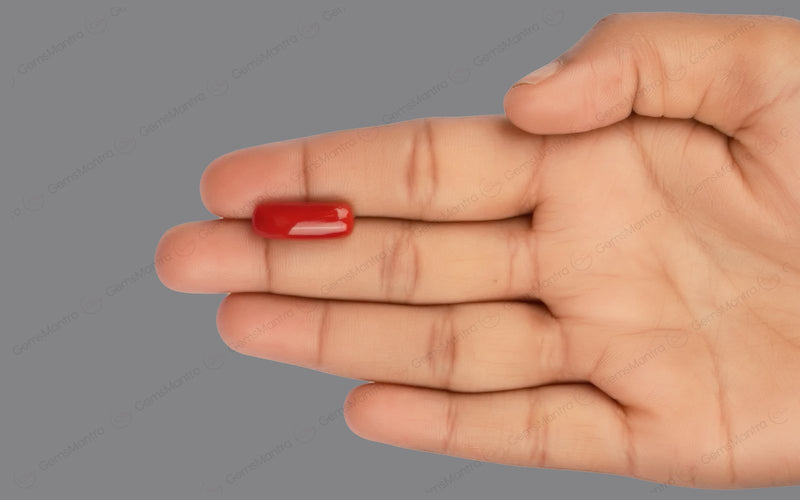 Red Coral - 7.57 Carats