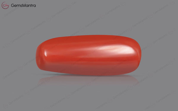 Red Coral - 8.08 Carats