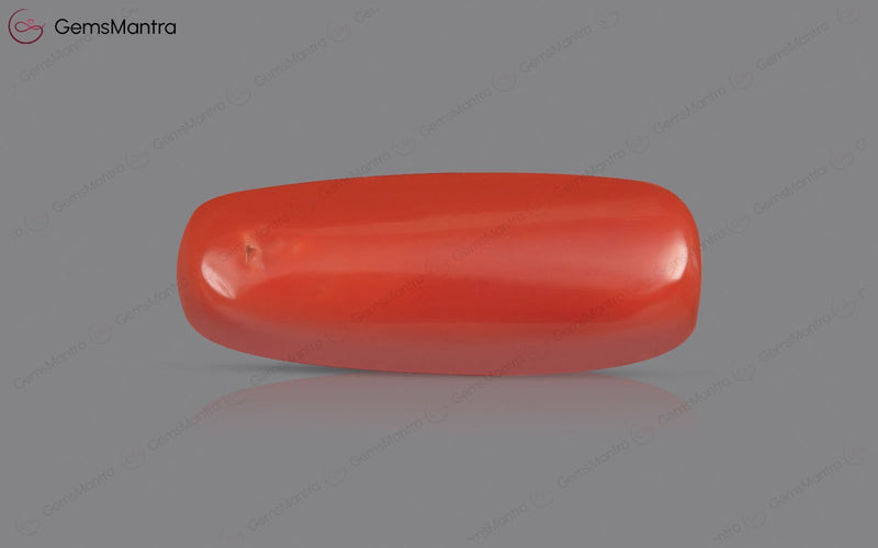Red Coral - 8.08 Carats
