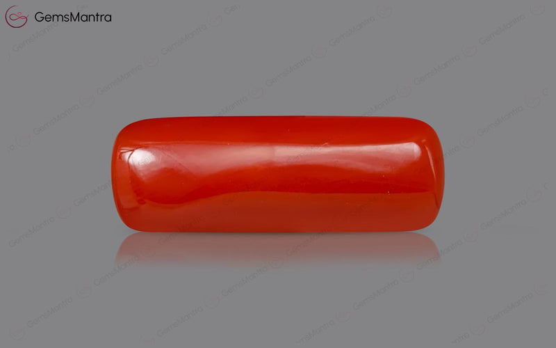 Red Coral - 8.15 Carats