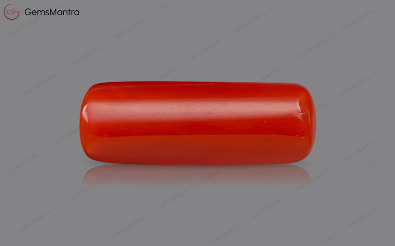 Red Coral - 8.15 Carats