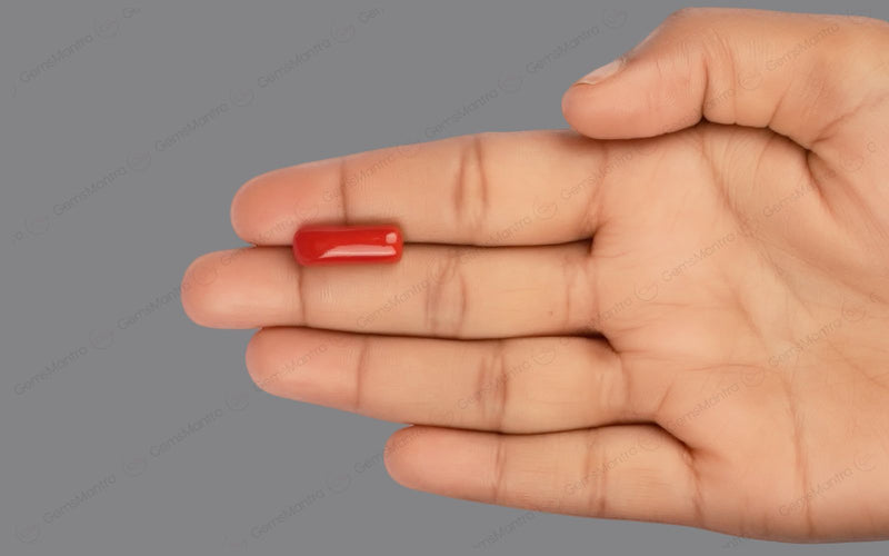 Red Coral - 8.15 Carats