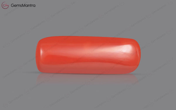 Red Coral - 8.01 Carats