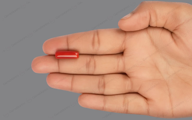 Red Coral - 8.01 Carats