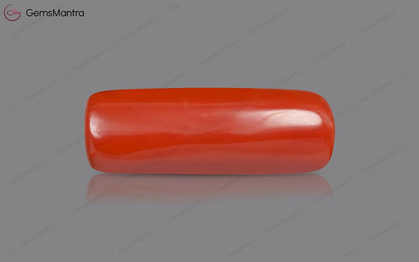 Red Coral - 8.52 Carats