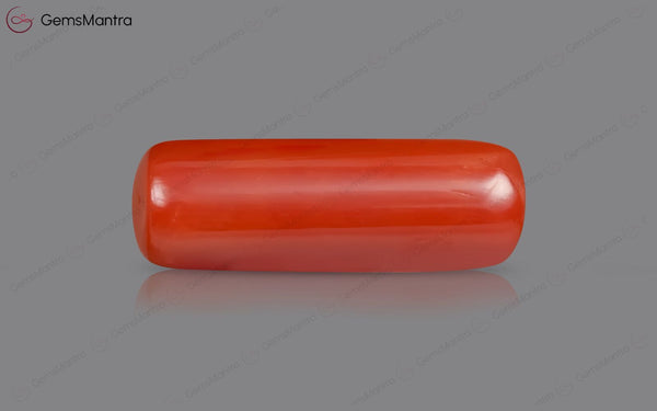 Red Coral - 8.52 Carats