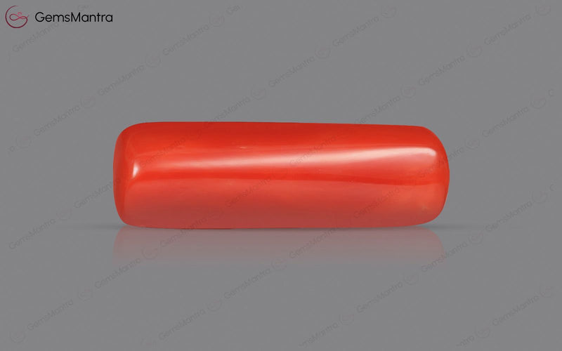 Red Coral - 7.52 Carats