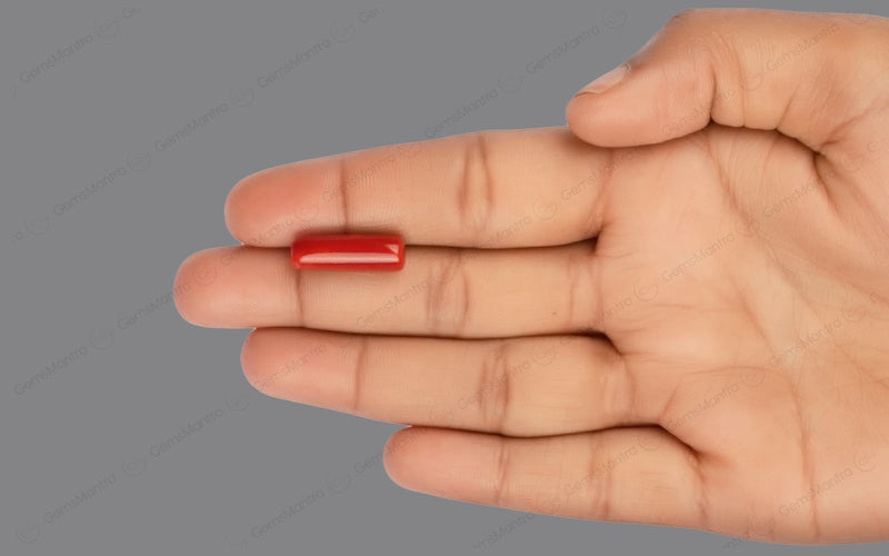 Red Coral - 7.52 Carats