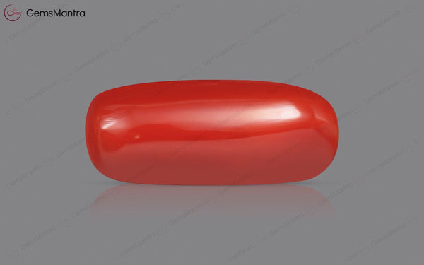 Red Coral - 7.27 Carats