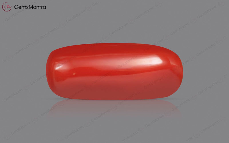 Red Coral - 7.27 Carats