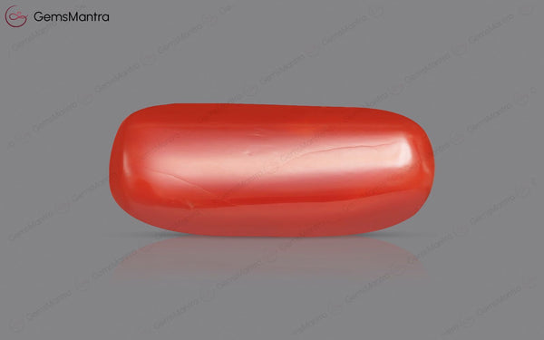 Red Coral - 7.27 Carats