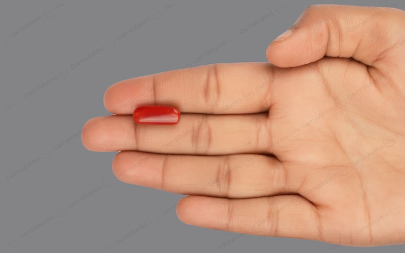 Red Coral - 7.27 Carats