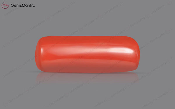 Red Coral - 8.23 Carats