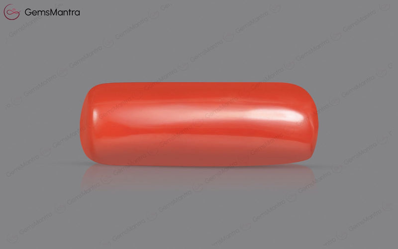 Red Coral - 8.23 Carats