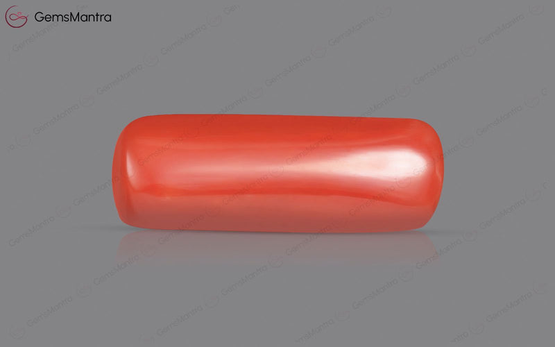 Red Coral - 8.23 Carats