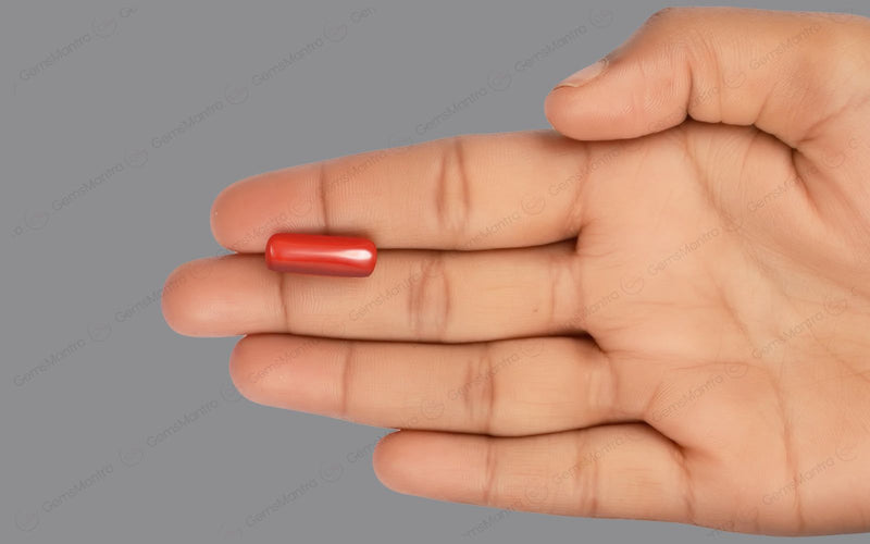 Red Coral - 8.23 Carats