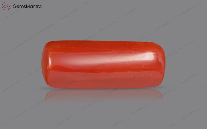 Red Coral - 7.66 Carats