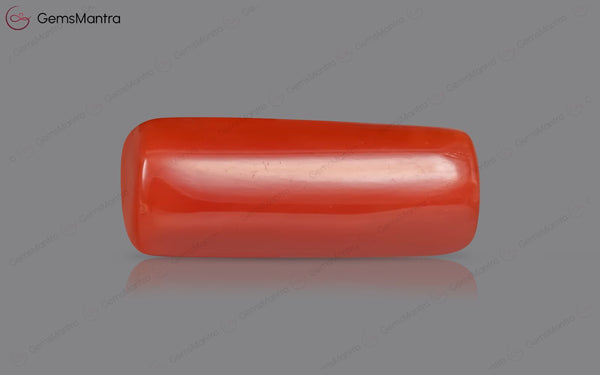 Red Coral - 7.66 Carats