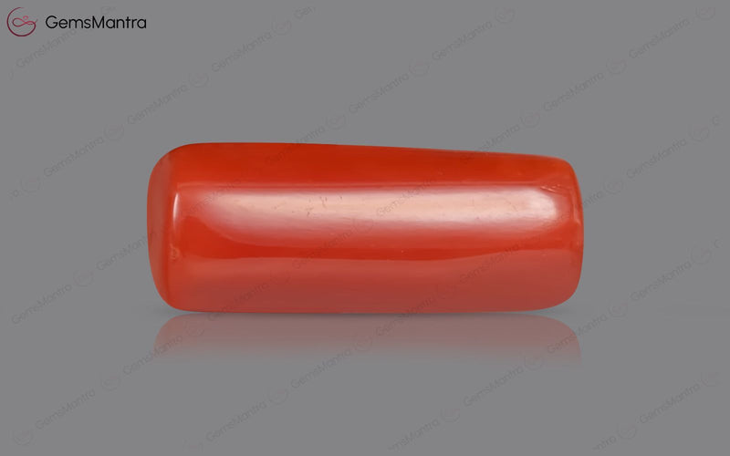 Red Coral - 7.66 Carats