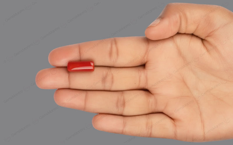 Red Coral - 7.66 Carats