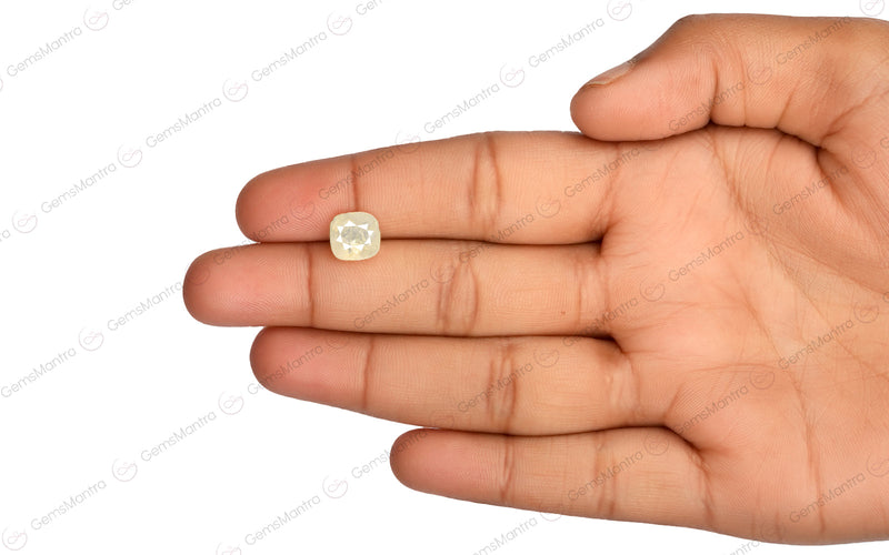 Yellow Sapphire - 3.38 Carats