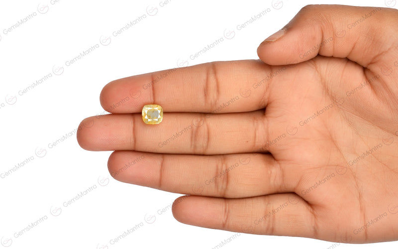 Yellow Sapphire - 3.14 Carats
