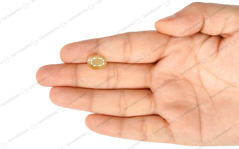 Yellow Sapphire - 5.49 Carats