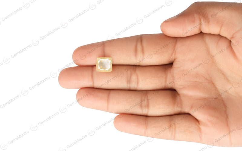 Yellow Sapphire - 5.67 Carats