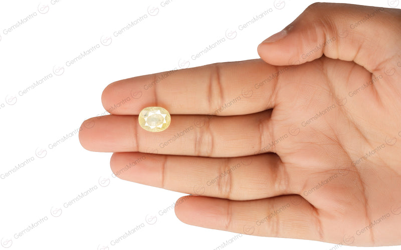 Yellow Sapphire - 7.37 Carats
